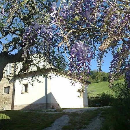 Fonte Carra Grottazzolina