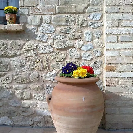 Alloggio per agriturismo Fonte Carrà