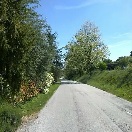 Fonte Carrà Grottazzolina