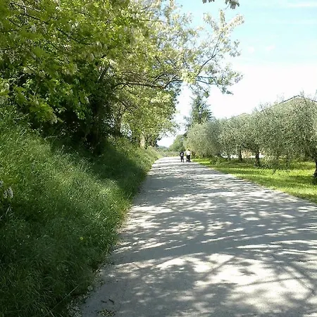 Fonte Carra Lantgård Grottazzolina