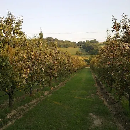 Fonte Carra Grottazzolina